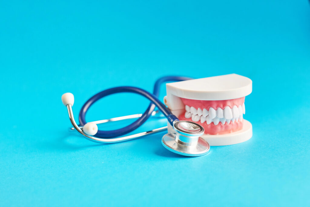 Model teeth and gums next to stethoscope.
